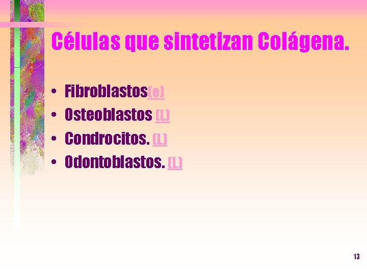 Células que sintetizan Colágena. • • Fibroblastos(e) Osteoblastos (L) Condrocitos. (L) Odontoblastos. (L) 13