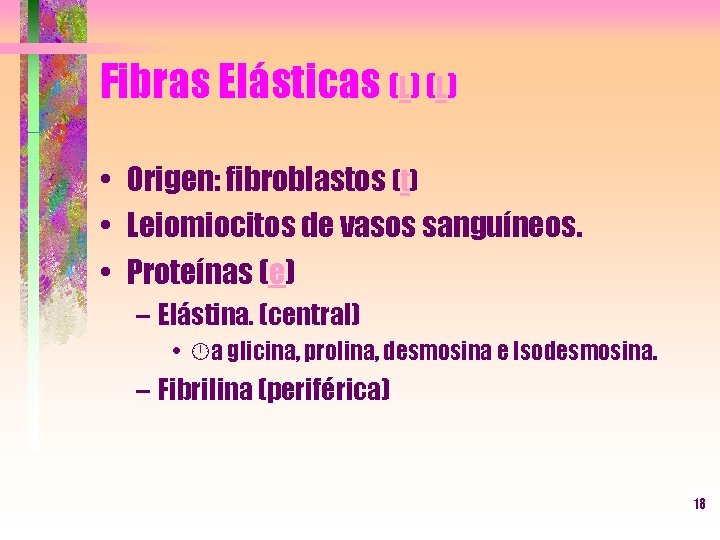 Fibras Elásticas (L) • Origen: fibroblastos (t) • Leiomiocitos de vasos sanguíneos. • Proteínas