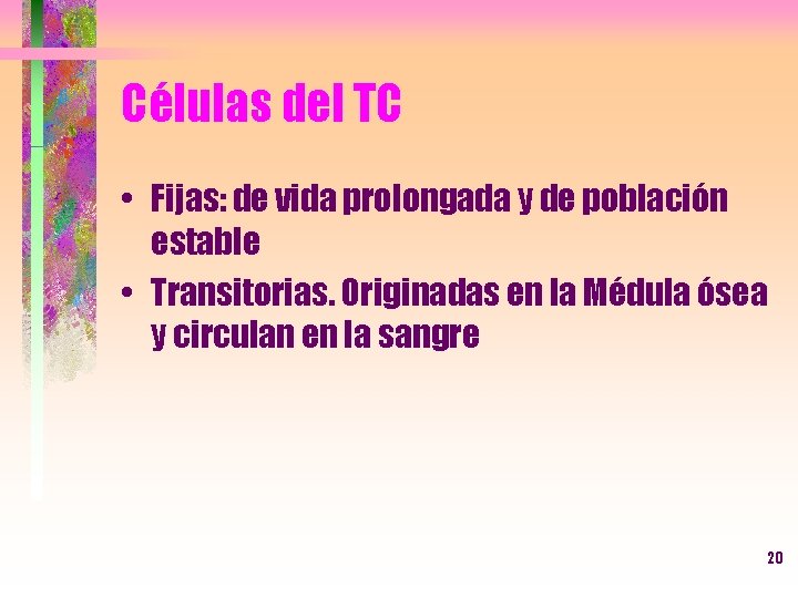 Células del TC • Fijas: de vida prolongada y de población estable • Transitorias.