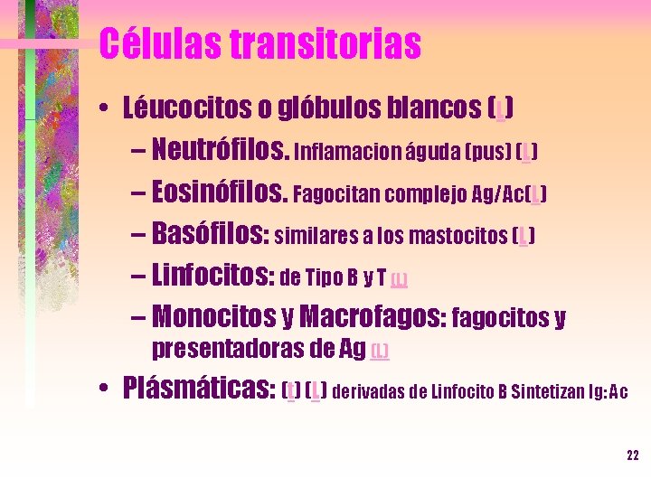 Células transitorias • Léucocitos o glóbulos blancos (L) – Neutrófilos. Inflamacion águda (pus) (L)