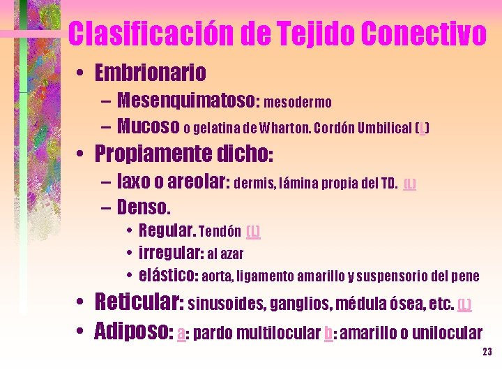 Clasificación de Tejido Conectivo • Embrionario – Mesenquimatoso: mesodermo – Mucoso o gelatina de