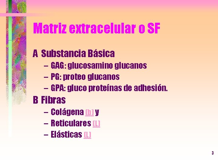 Matriz extracelular o SF A Substancia Básica – GAG: glucosamino glucanos – PG: proteo