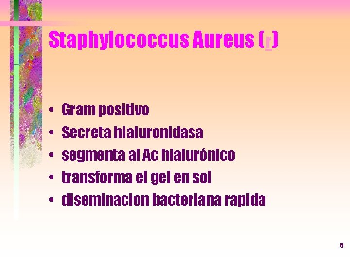 Staphylococcus Aureus (r) • • • Gram positivo Secreta hialuronidasa segmenta al Ac hialurónico
