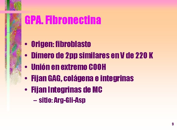 GPA. Fibronectina • • • Origen: fibroblasto Dímero de 2 pp similares en V