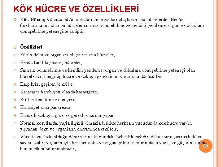 KÖK HÜCRE VE ÖZELLİKLERİ Kök Hücre; Vücutta bütün dokuları ve organları oluşturan ana hücrelerdir.