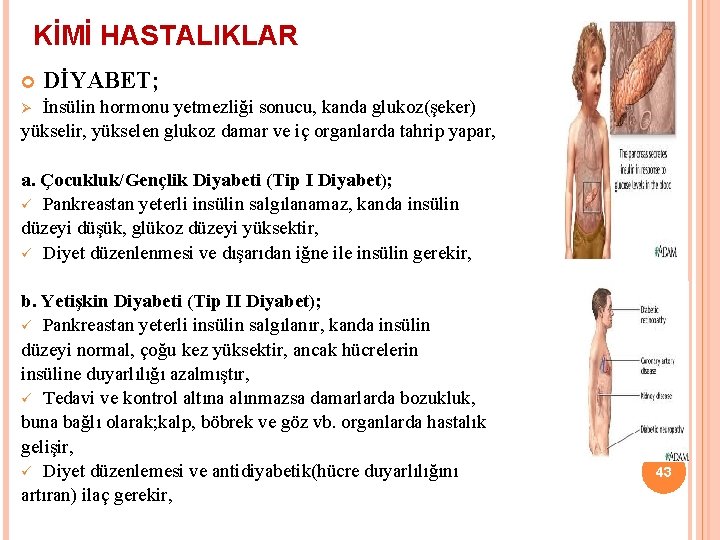 KİMİ HASTALIKLAR DİYABET; İnsülin hormonu yetmezliği sonucu, kanda glukoz(şeker) yükselir, yükselen glukoz damar ve