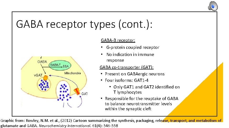 GABA receptor types (cont. ): GABA-B receptor: • G-protein coupled receptor • No indication