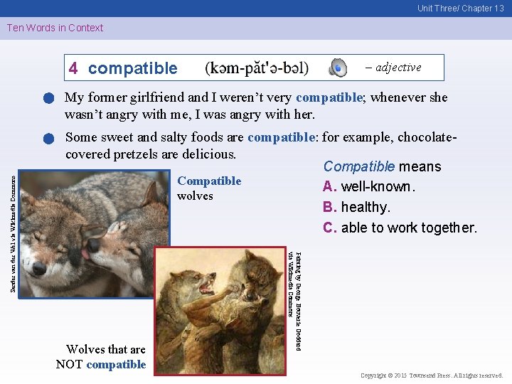 Unit Three/ Chapter 13 Ten Words in Context 4 compatible – adjective Some sweet