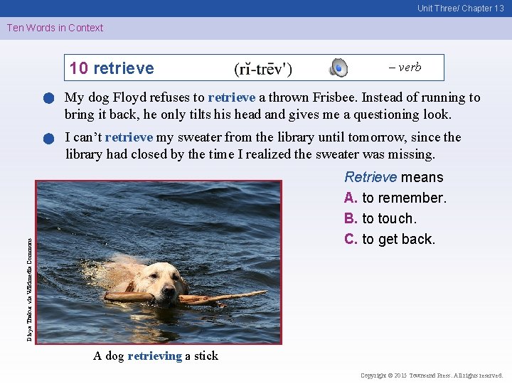 Unit Three/ Chapter 13 Ten Words in Context 10 retrieve – verb My dog