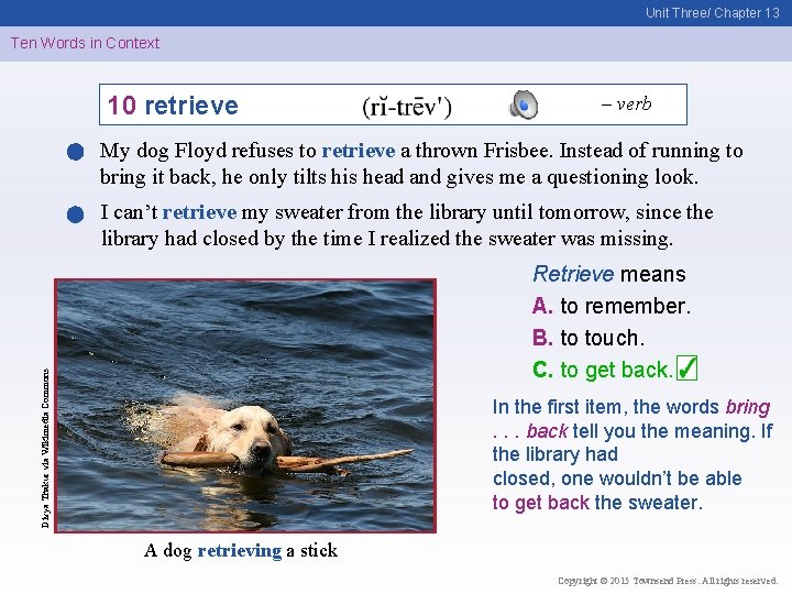 Unit Three/ Chapter 13 Ten Words in Context 10 retrieve – verb My dog