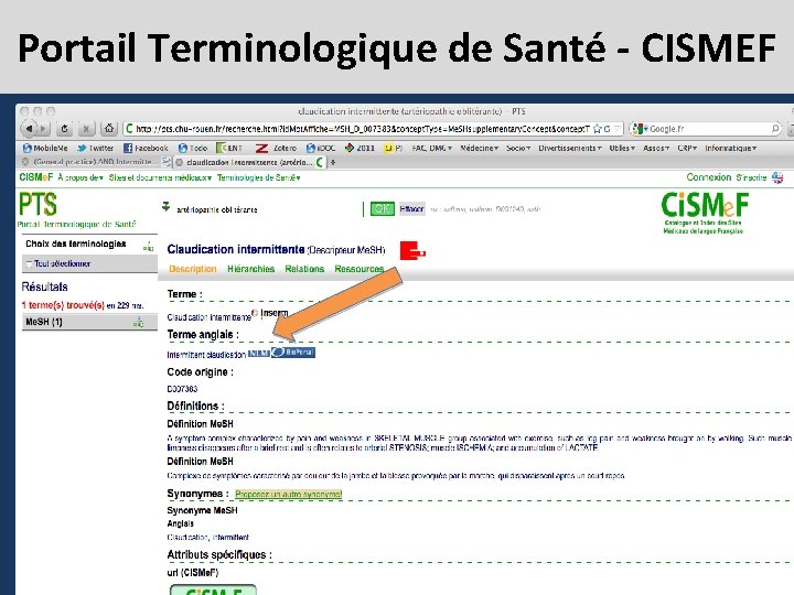 Portail Terminologique de Santé - CISMEF 