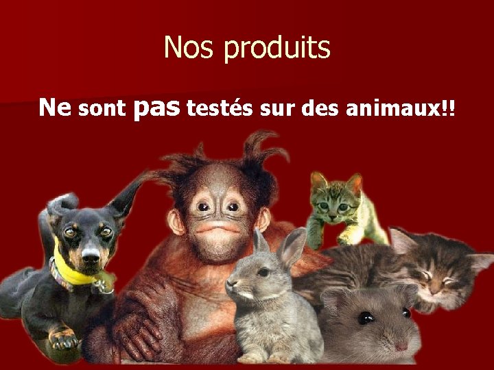 Nos produits Ne sont pas testés sur des animaux!! 