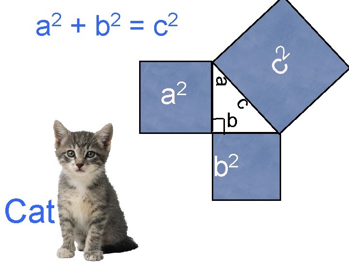 2 2 2 a + b = c 2 a b 2 b Cat