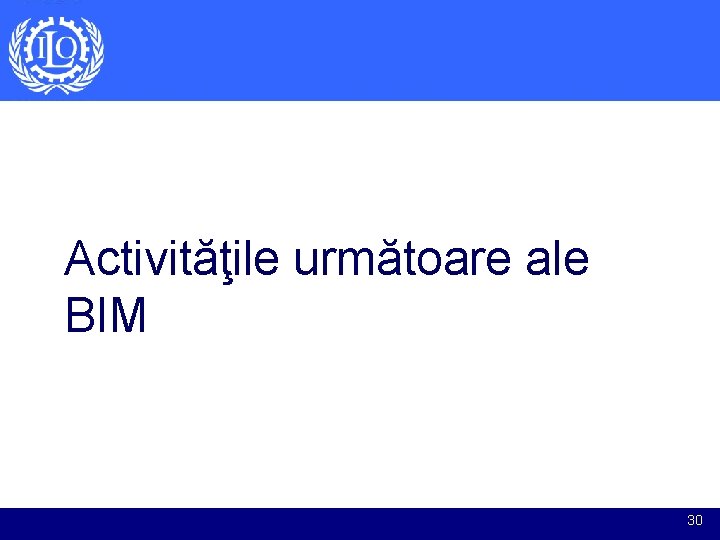 Activităţile următoare ale BIM 30 Activităţile următoare ale BIM 30
