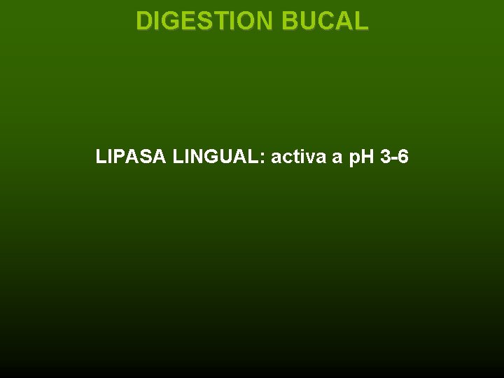 DIGESTION BUCAL LIPASA LINGUAL: activa a p. H 3 -6 