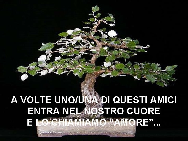 A VOLTE UNO/UNA DI QUESTI AMICI ENTRA NEL NOSTRO CUORE E LO CHIAMIAMO “AMORE”.