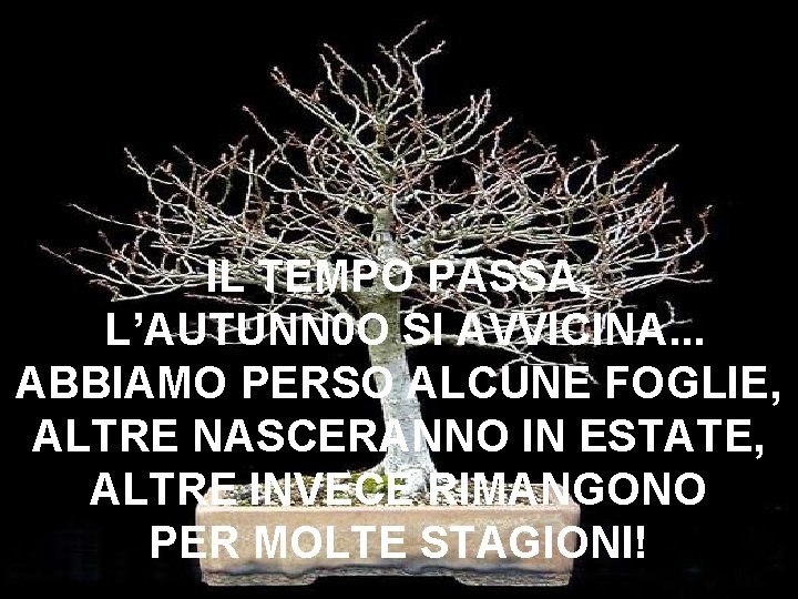 IL TEMPO PASSA, L’AUTUNN 0 O SI AVVICINA. . . ABBIAMO PERSO ALCUNE FOGLIE,