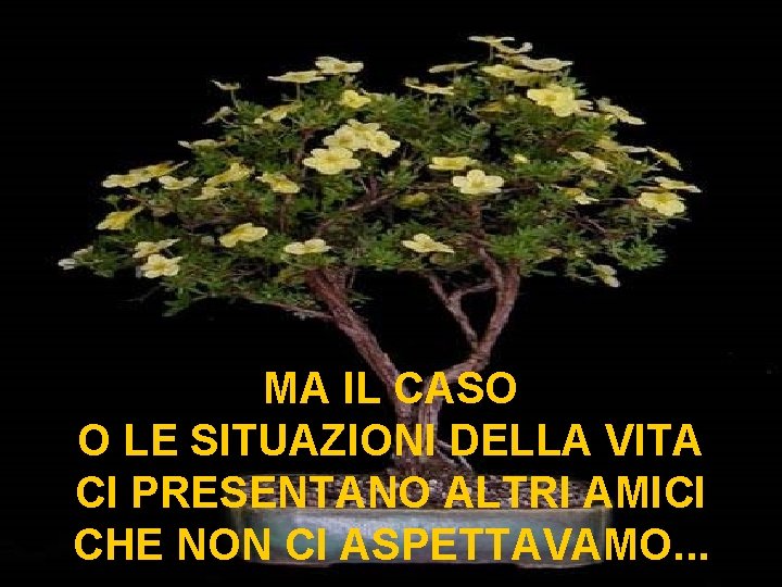 MA IL CASO O LE SITUAZIONI DELLA VITA CI PRESENTANO ALTRI AMICI CHE NON