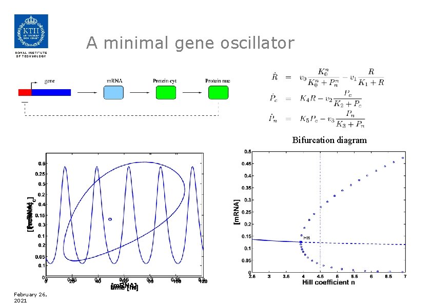 A minimal gene oscillator Bifurcation diagram February 26, 2021 