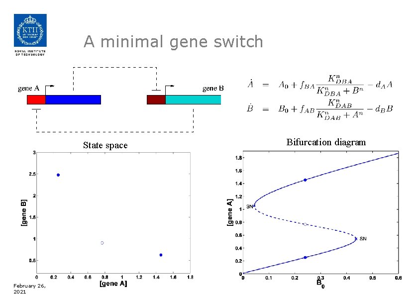 A minimal gene switch State space February 26, 2021 Bifurcation diagram 