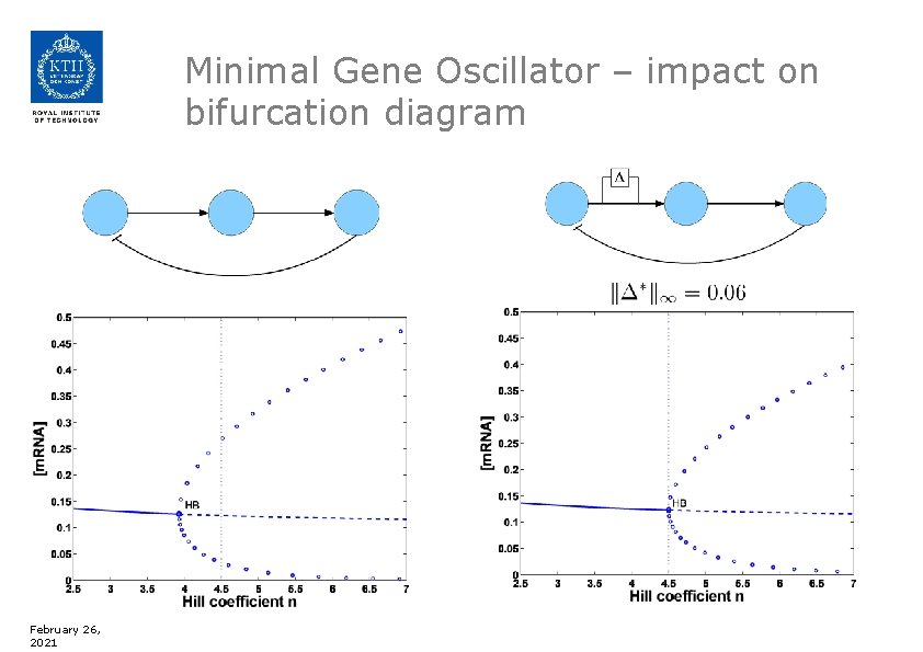 Minimal Gene Oscillator – impact on bifurcation diagram February 26, 2021 