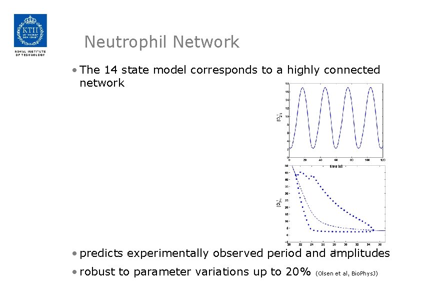 Neutrophil Network • The 14 state model corresponds to a highly connected network •