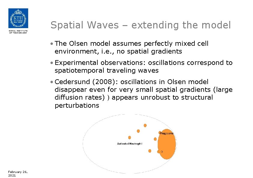 Spatial Waves – extending the model • The Olsen model assumes perfectly mixed cell