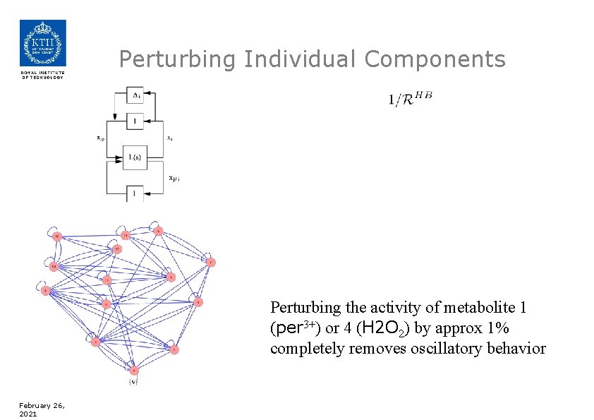 Perturbing Individual Components Perturbing the activity of metabolite 1 (per 3+) or 4 (H