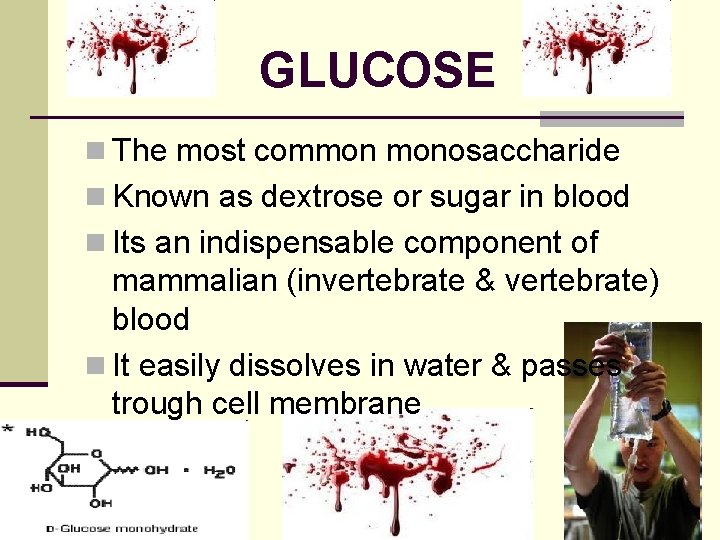 GLUCOSE n The most common monosaccharide n Known as dextrose or sugar in blood