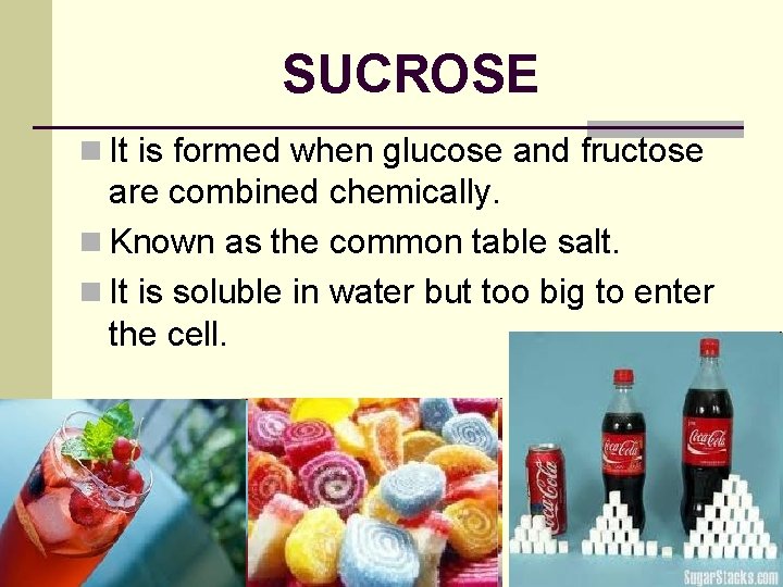 SUCROSE n It is formed when glucose and fructose are combined chemically. n Known