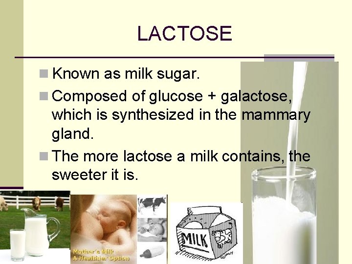 LACTOSE n Known as milk sugar. n Composed of glucose + galactose, which is