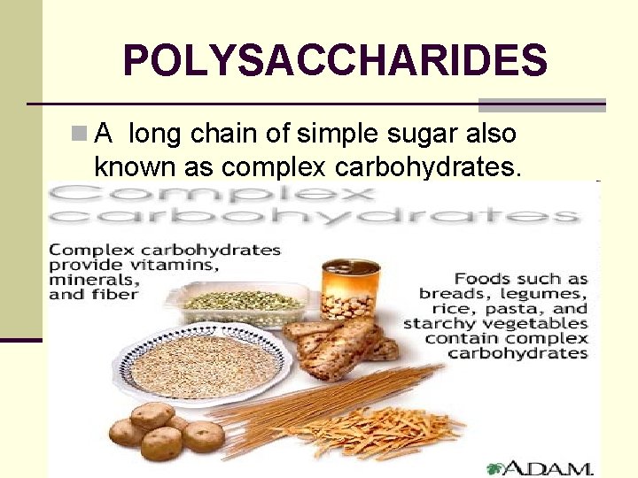 POLYSACCHARIDES n A long chain of simple sugar also known as complex carbohydrates. 
