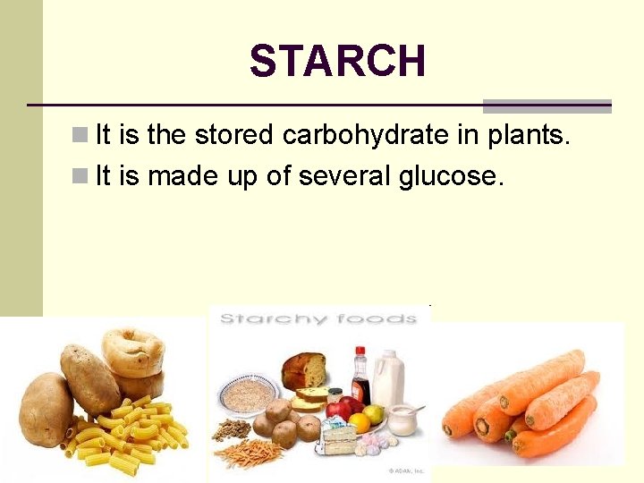 STARCH n It is the stored carbohydrate in plants. n It is made up