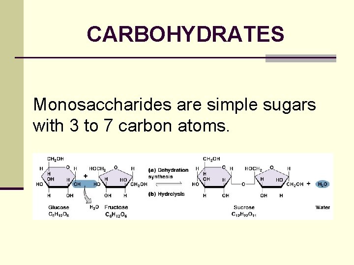 CARBOHYDRATES Monosaccharides are simple sugars with 3 to 7 carbon atoms. 