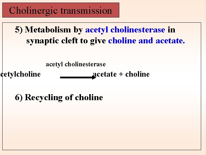Cholinergic transmission 5) Metabolism by acetyl cholinesterase in synaptic cleft to give choline and