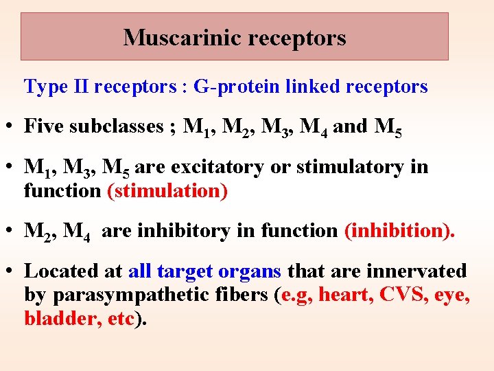 Muscarinic receptors Type II receptors : G-protein linked receptors • Five subclasses ; M