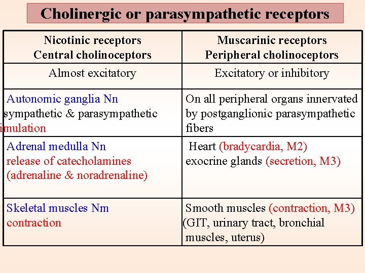 Cholinergic or parasympathetic receptors Nicotinic receptors Central cholinoceptors Almost excitatory Autonomic ganglia Nn sympathetic