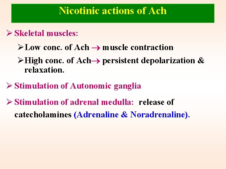 Nicotinic actions of Ach Ø Skeletal muscles: ØLow conc. of Ach muscle contraction ØHigh