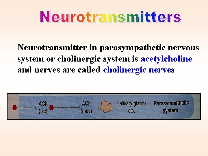 Neurotransmitter in parasympathetic nervous system or cholinergic system is acetylcholine and nerves are called