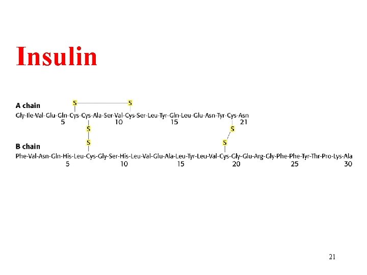 Insulin 21 