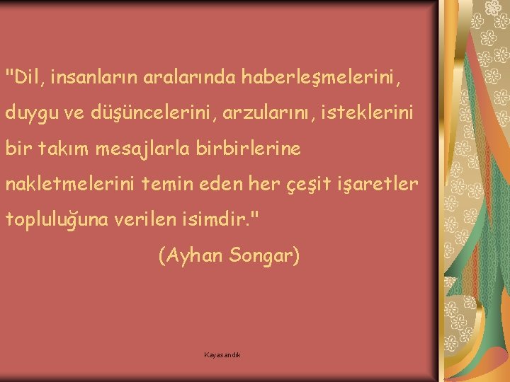 "Dil, insanların aralarında haberleşmelerini, duygu ve düşüncelerini, arzularını, isteklerini bir takım mesajlarla birbirlerine nakletmelerini