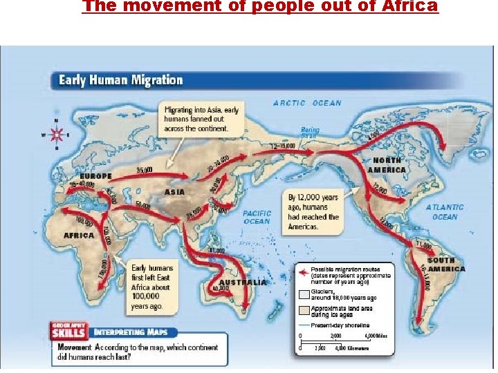 The movement of people out of Africa 