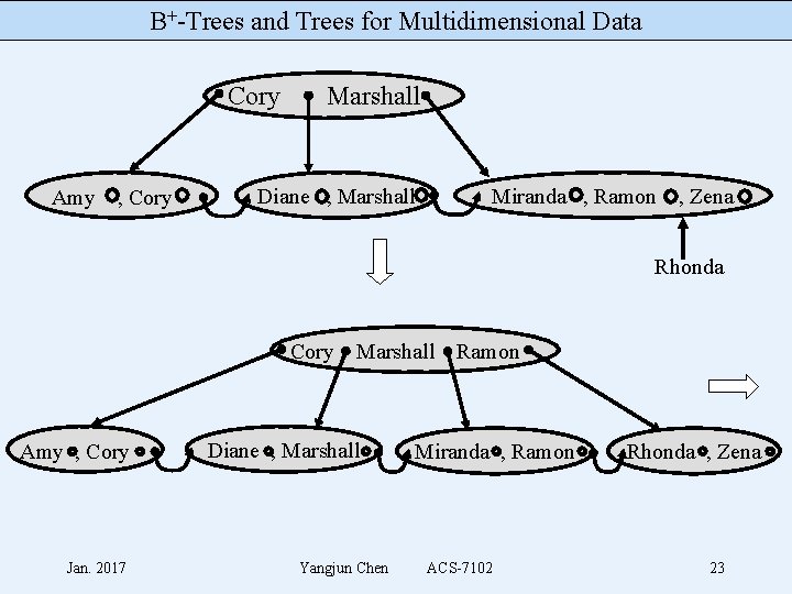 B+-Trees and Trees for Multidimensional Data Cory Amy , Cory Marshall Diane , Marshall