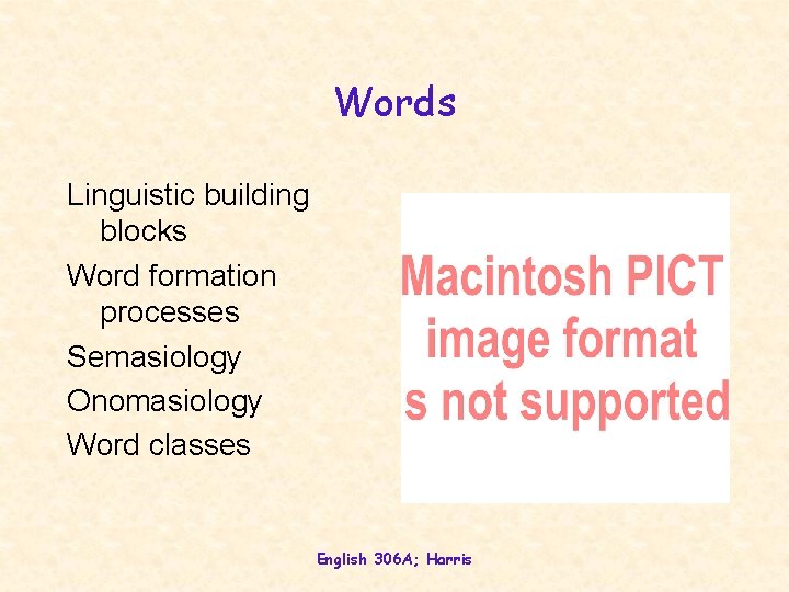 Words Linguistic building blocks Word formation processes Semasiology Onomasiology Word classes English 306 A;