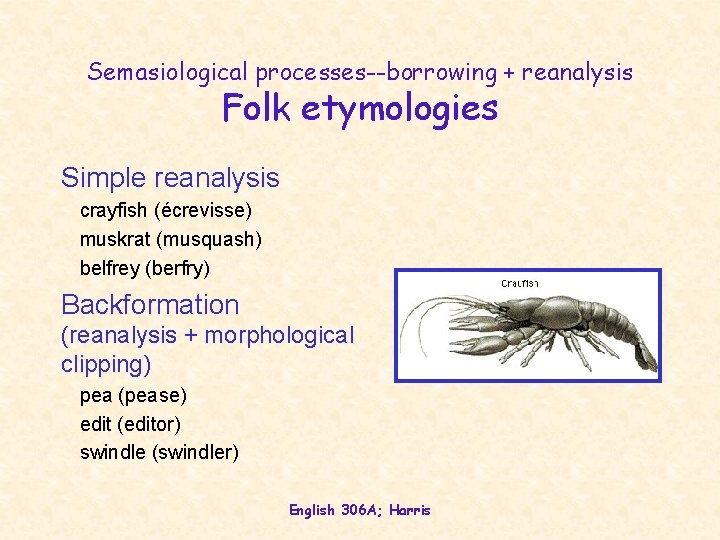 Semasiological processes--borrowing + reanalysis Folk etymologies Simple reanalysis crayfish (écrevisse) muskrat (musquash) belfrey (berfry)