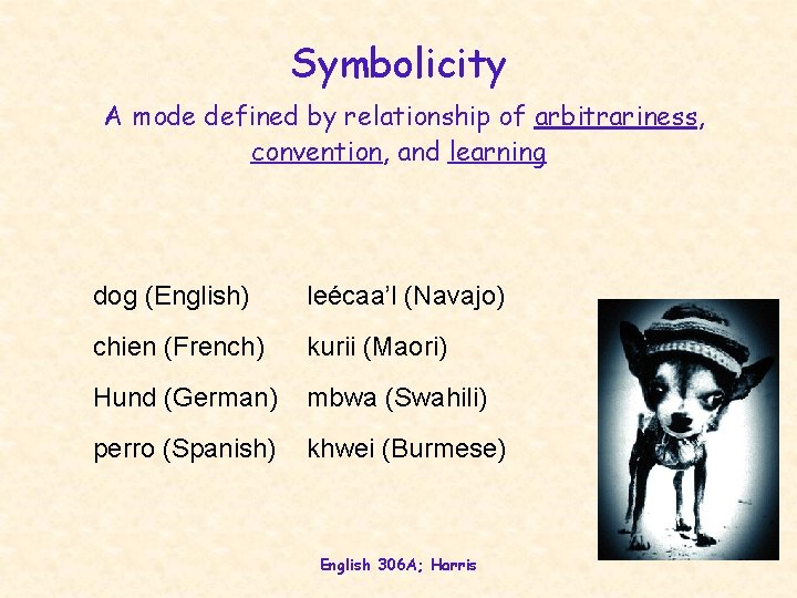 Symbolicity A mode defined by relationship of arbitrariness, convention, and learning dog (English) leécaa’l