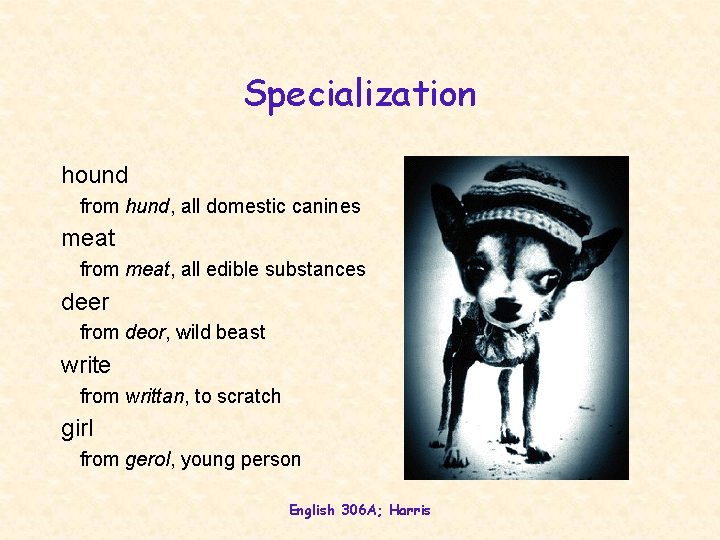 Specialization hound from hund, all domestic canines meat from meat, all edible substances deer