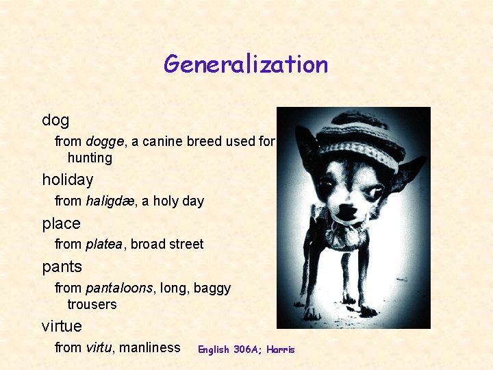 Generalization dog from dogge, a canine breed used for hunting holiday from haligdæ, a