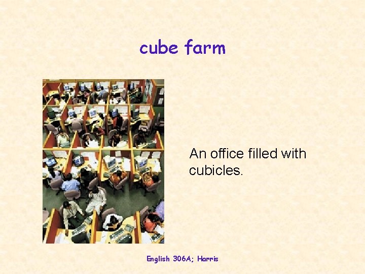 cube farm An office filled with cubicles. English 306 A; Harris 