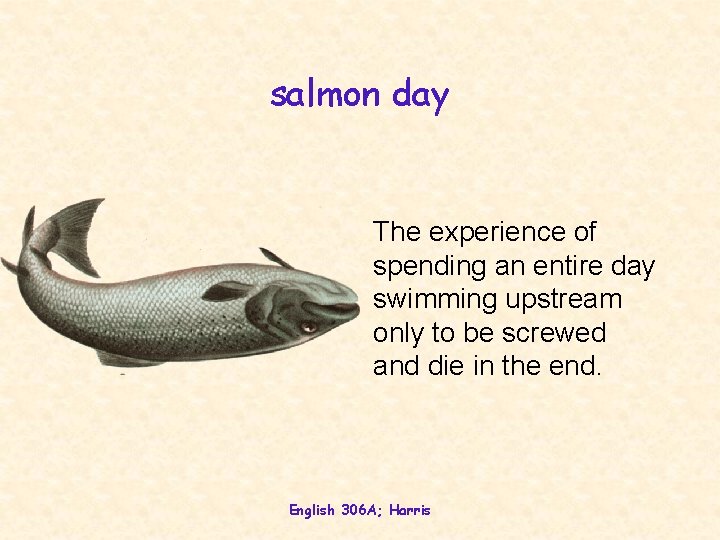 salmon day The experience of spending an entire day swimming upstream only to be